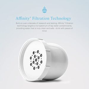 3 Pack of Clearly Filtered Water Pitcher Replacement Filters