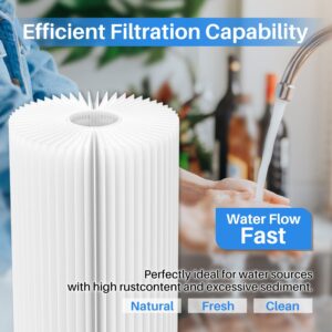 10" x 4.5" Whole House Pleated Water Filter Replacement for GE FXHSC, Culligan R50-BBSA, Pentek R50-BB, DuPont WFHDC3001, W50PEHD, GXWH40L, GXWH35F, for Well Water, Pack of 2