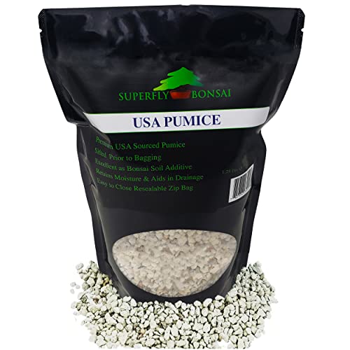 Bonsai, Cactus & Succulent Pumice - Professional Sifted and Ready to Use American … (2.5 Dry Quart)