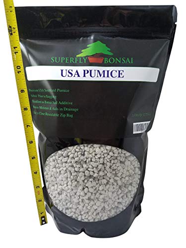 Bonsai, Cactus & Succulent Pumice - Professional Sifted and Ready to Use American … (2.5 Dry Quart)