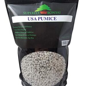 Bonsai, Cactus & Succulent Pumice - Professional Sifted and Ready to Use American … (2.5 Dry Quart)