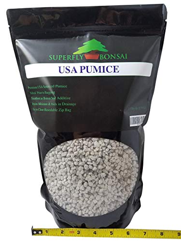 Bonsai, Cactus & Succulent Pumice - Professional Sifted and Ready to Use American … (2.5 Dry Quart)