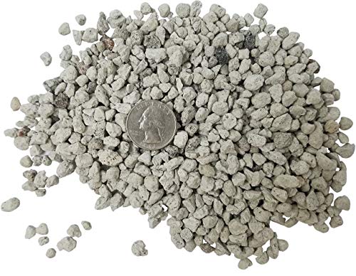 Bonsai, Cactus & Succulent Pumice - Professional Sifted and Ready to Use American … (2.5 Dry Quart)