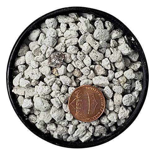 Bonsai, Cactus & Succulent Pumice - Professional Sifted and Ready to Use American … (2.5 Dry Quart)