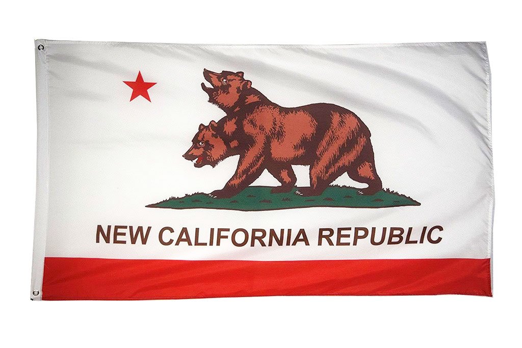 DANF FLAG New California Republic Flag Banner 3ftx5ft Polyester with Brass Grommets