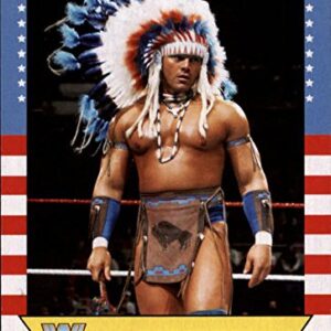 2017 Topps Heritage WWE Summerslam All-Stars #15 Tatanka