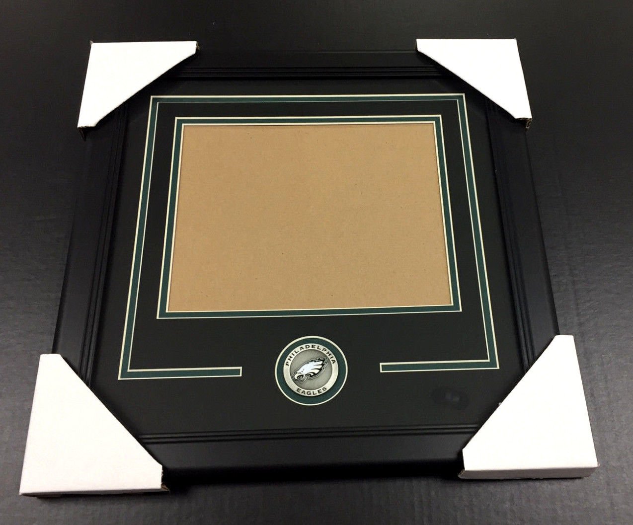 PHILADELPHIA EAGLES Medallion Frame Kit 8x10 Photo Double Mat HORIZONTAL