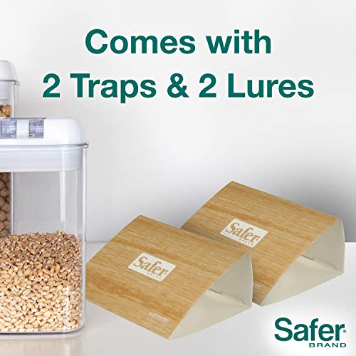 Safer Brand 05140 Pantry Moth Pest Trap and Killer for Grain, Flour, Meal and Seed Moths - 24 Traps