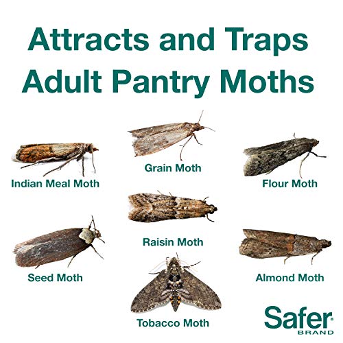 Safer Brand 05140 Pantry Moth Pest Trap and Killer for Grain, Flour, Meal and Seed Moths - 24 Traps