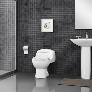 Swiss Madison SM-1T803 Chateau Elongated Toilet Dual Flush 0.8/1.28 Gpf (Soft Closing Quick Release Seat Included)