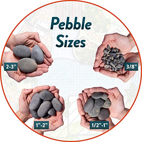 Mexican Beach Pebbles | 20 Pounds of Smooth Unpolished Stones | Hand-Picked, Premium Pebbles for Garden and Landscape Design | Black, 1 Inch - 2 Inch
