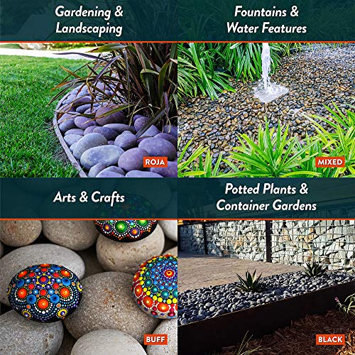 Mexican Beach Pebbles | 20 Pounds of Smooth Unpolished Stones | Hand-Picked, Premium Pebbles for Garden and Landscape Design | Black, 1 Inch - 2 Inch