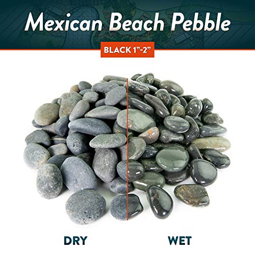 Mexican Beach Pebbles | 20 Pounds of Smooth Unpolished Stones | Hand-Picked, Premium Pebbles for Garden and Landscape Design | Black, 1 Inch - 2 Inch