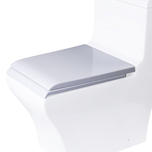 EAGO R-356SEAT Replacement Soft Closing Toilet Seat for TB356, White