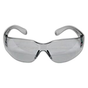 MAGID Wraparound Anti-Fog Safety Glasses, Light Grey Lens (1 Pair) (Y10LGAFLG)