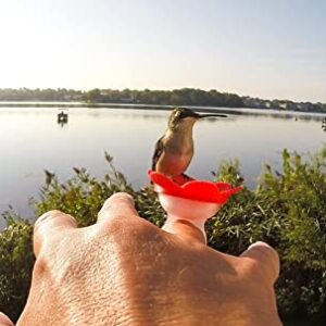 ZUMMR Hummingbird Ring Feeder (Red) - Hand Feed Hummingbirds Right in Your Backyard. Get up Close and Personal with Nature. Proudly Made in The U.S.A. - The Original