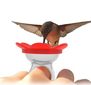 ZUMMR Hummingbird Ring Feeder (Red) - Hand Feed Hummingbirds Right in Your Backyard. Get up Close and Personal with Nature. Proudly Made in The U.S.A. - The Original