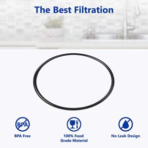 Express Water Replacement O-Ring Kit for Standard 3.5" Diameter Reverse Osmosis RO Water Filter Housing 6 Pcs, BPA Free