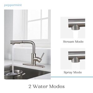 Peppermint Kitchen Faucets Designer Brushed Nickel Pull Down Kitchen Sink Faucet with Pull Out Sprayer Single Lever Faucet for Kitchen Sink RVs Modern