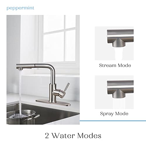 Peppermint Kitchen Faucets Designer Brushed Nickel Pull Down Kitchen Sink Faucet with Pull Out Sprayer Single Lever Faucet for Kitchen Sink RVs Modern