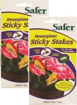 Safer Brand SF5026 Houseplant Sticky Stakes Insect Traps, 2 Pack