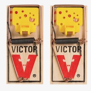 Victor EZ set mouse trap (Pack of 50)