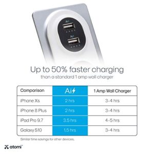 Atomi Desktop Surge Protector - 2-Outlet Power Strip, 2 USB Charging Ports, Ai Rapid Charge for Phones, Tablets, Laptops, Cameras and More, Durable, Heavyweight Metal - Silver