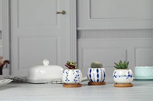 T4U 2.5 Inch Ceramic Succulent Planter Pot with Bamboo Saucer Set of 3, Cactus Plant Pot Flower Pot Container Planter Gift for Home Office Indoor Decoration Blue and White Pots