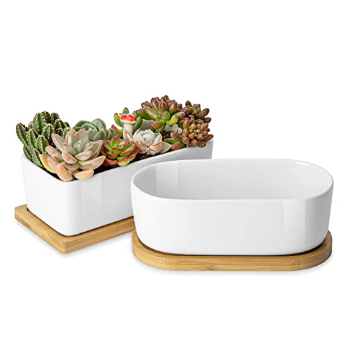 Greenaholics Succulents Planter Pots Set of 2-6.3 Inch Rectangular White Ceramic Flower Plant Pots Indoor Rectangle Pots for Plants with Bamboo Trays and Drainage Hole for Small Succulents Cactus