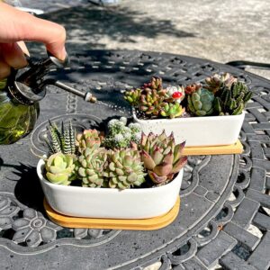 Greenaholics Succulents Planter Pots Set of 2-6.3 Inch Rectangular White Ceramic Flower Plant Pots Indoor Rectangle Pots for Plants with Bamboo Trays and Drainage Hole for Small Succulents Cactus