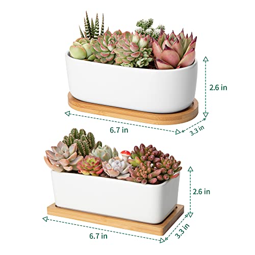 Greenaholics Succulents Planter Pots Set of 2-6.3 Inch Rectangular White Ceramic Flower Plant Pots Indoor Rectangle Pots for Plants with Bamboo Trays and Drainage Hole for Small Succulents Cactus