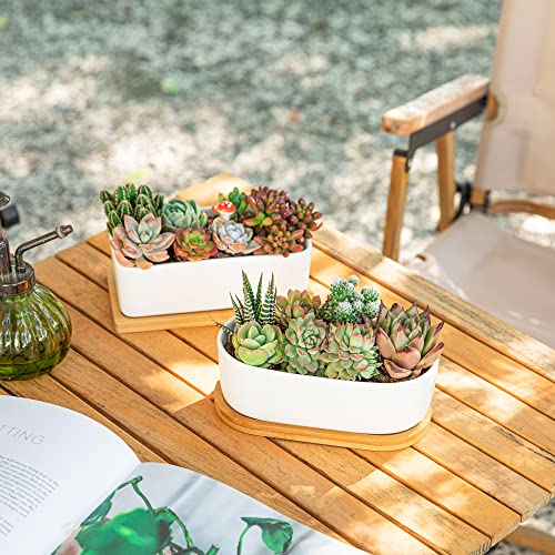 Greenaholics Succulents Planter Pots Set of 2-6.3 Inch Rectangular White Ceramic Flower Plant Pots Indoor Rectangle Pots for Plants with Bamboo Trays and Drainage Hole for Small Succulents Cactus