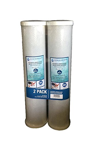 WFD, WF-CB205-BB 4.5"x20" Activated Carbon Block Water Filter Cartridge, Fits in 20" Big Blue (BB) Filter Housings (2 Pack, 5 Micron)