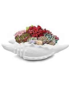 dahlia white seashell ceramic succulent planter/plant pot/flower pot/bonsai pot