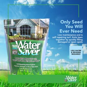 WaterSaver Grass Mixture with Turf-Type Tall Fescue Used to Seed New Lawn and Patch Up Jobs-Grows in Sun or Shade, 10 lbs-Covers 1/20 Acre