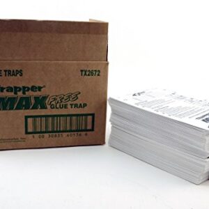 Bell Labs Full CASE of Trapper Max Free Mouse Glue Boards (72 Boards), White (TX2672)