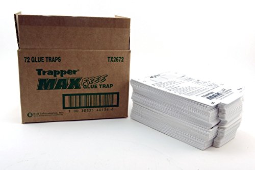 Bell Labs Full CASE of Trapper Max Free Mouse Glue Boards (72 Boards), White (TX2672)