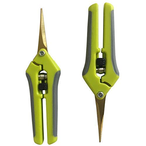 The Relaxed Gardener Gardening Scissors Set - Curved and Straight Titanium Coated Blade Micro Tip Pruning Shears - Super Sharp Trimmers for Plants with Anti-Rust Coating