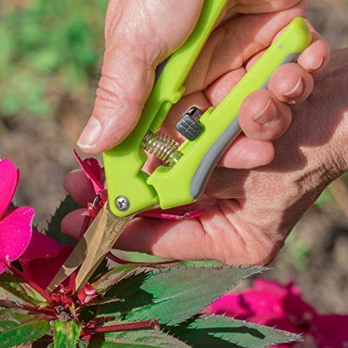 The Relaxed Gardener Gardening Scissors Set - Curved and Straight Titanium Coated Blade Micro Tip Pruning Shears - Super Sharp Trimmers for Plants with Anti-Rust Coating