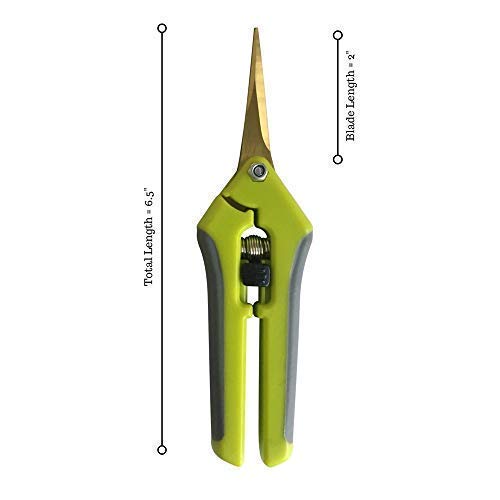 The Relaxed Gardener Gardening Scissors Set - Curved and Straight Titanium Coated Blade Micro Tip Pruning Shears - Super Sharp Trimmers for Plants with Anti-Rust Coating