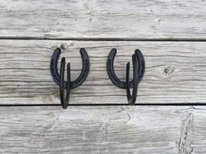 horseshoe hooks