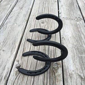 Horseshoe Hooks