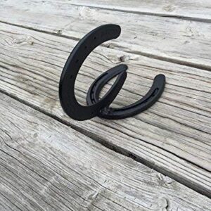 Horseshoe Hook