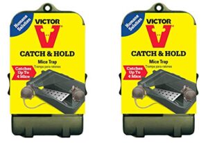 multiple catch humane live mouse trap m333 (pack of 2)