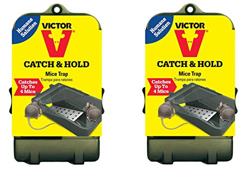 Multiple Catch Humane Live Mouse Trap M333 (Pack of 2)