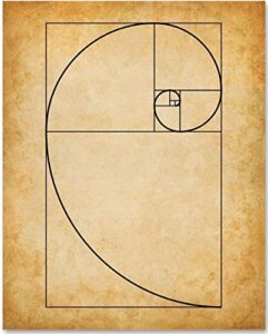 fibonacci spiral - 11x14 unframed art print - makes a great gift under $15 for artists
