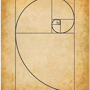 Fibonacci Spiral - 11x14 Unframed Art Print - Makes a Great Gift Under $15 for Artists
