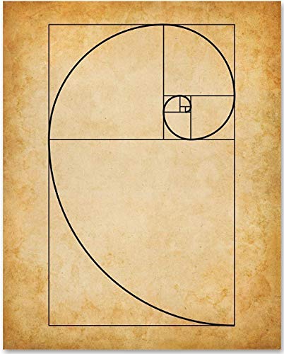 Fibonacci Spiral - 11x14 Unframed Art Print - Makes a Great Gift Under $15 for Artists