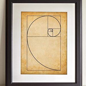 Fibonacci Spiral - 11x14 Unframed Art Print - Makes a Great Gift Under $15 for Artists