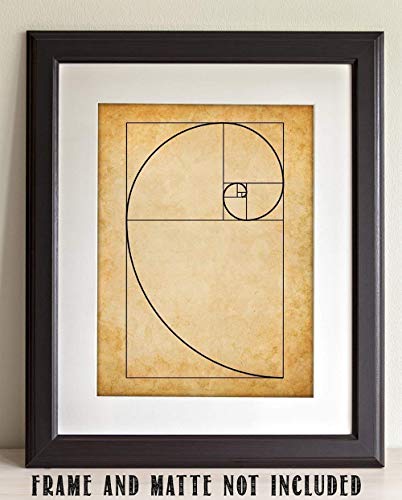 Fibonacci Spiral - 11x14 Unframed Art Print - Makes a Great Gift Under $15 for Artists